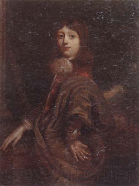 unknow artist Portrait of a young boy three-quarter length,wearing a  red jacket and an ochre mantle Germany oil painting art